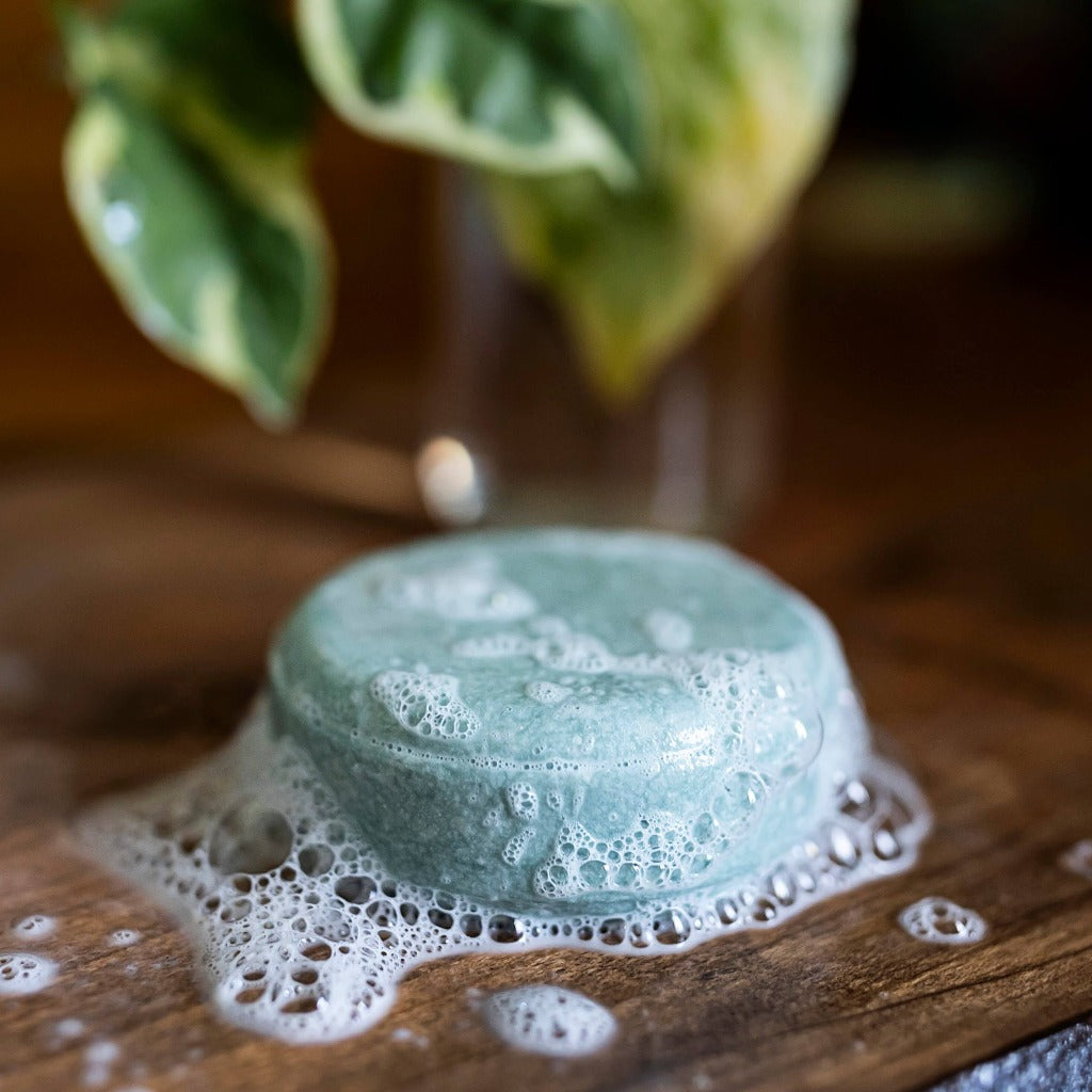 Image of The Informint solid shampoo bar with lather