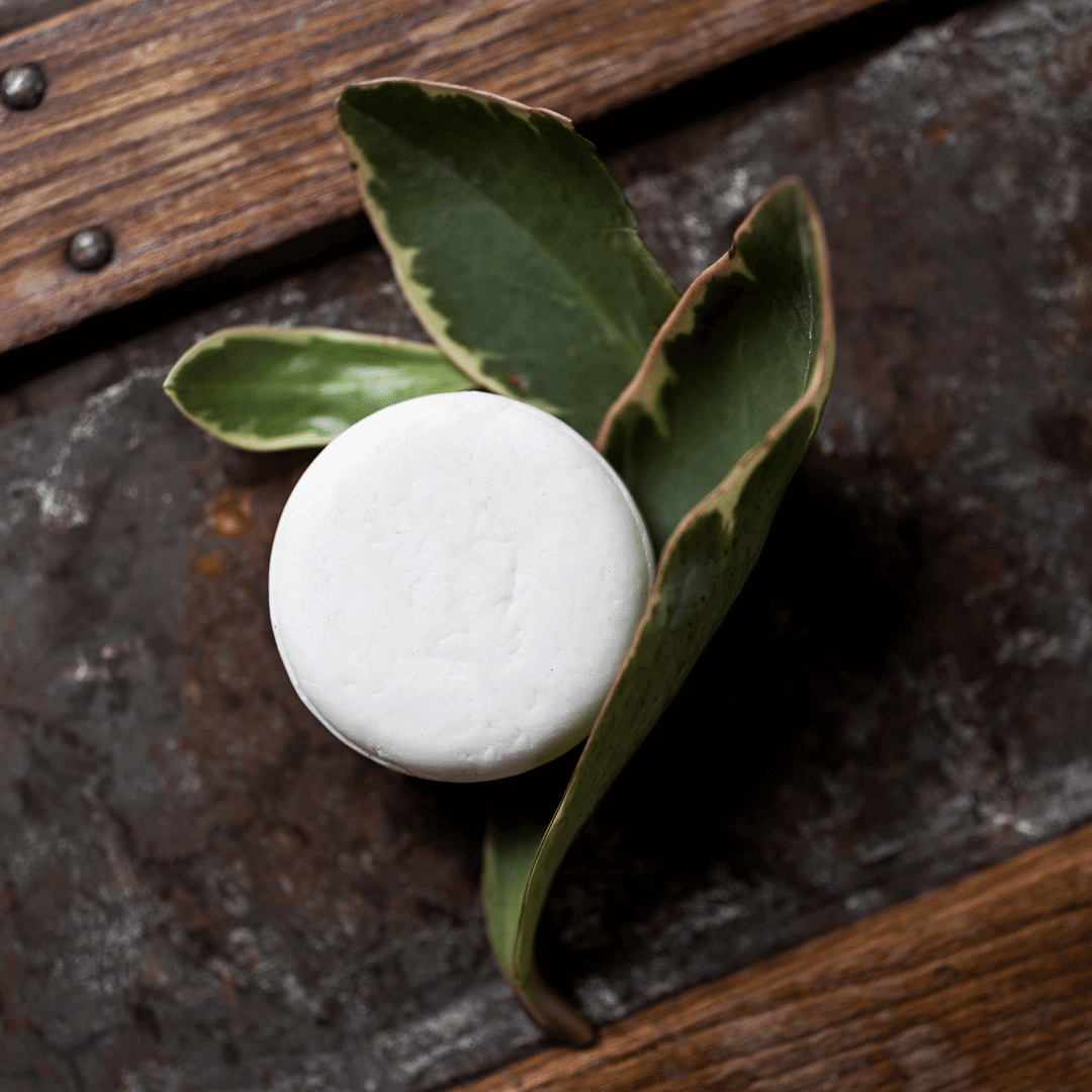 Image of a white shampoo bar next to greenery on a metal and wood background